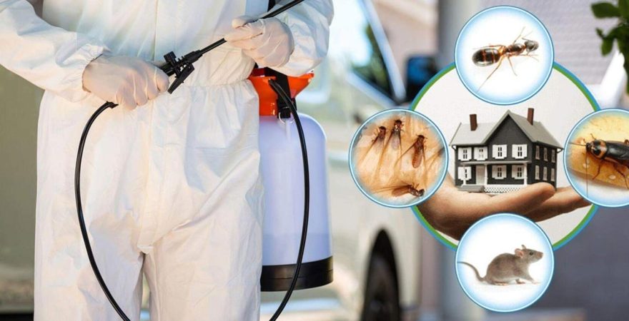 Pazaryeri Böcek İlaçlama