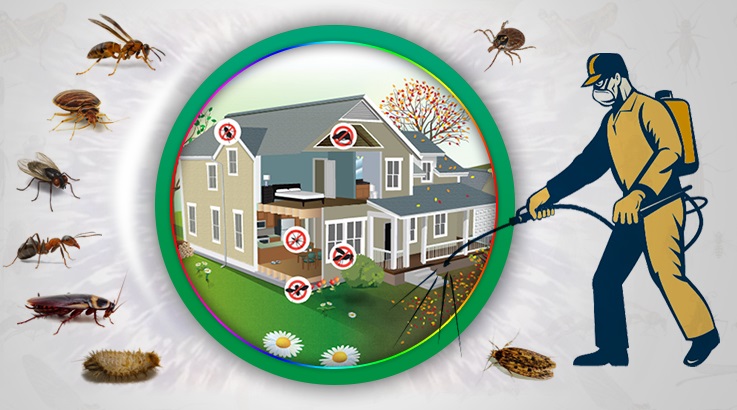 Pazaryeri Böcek İlaçlama