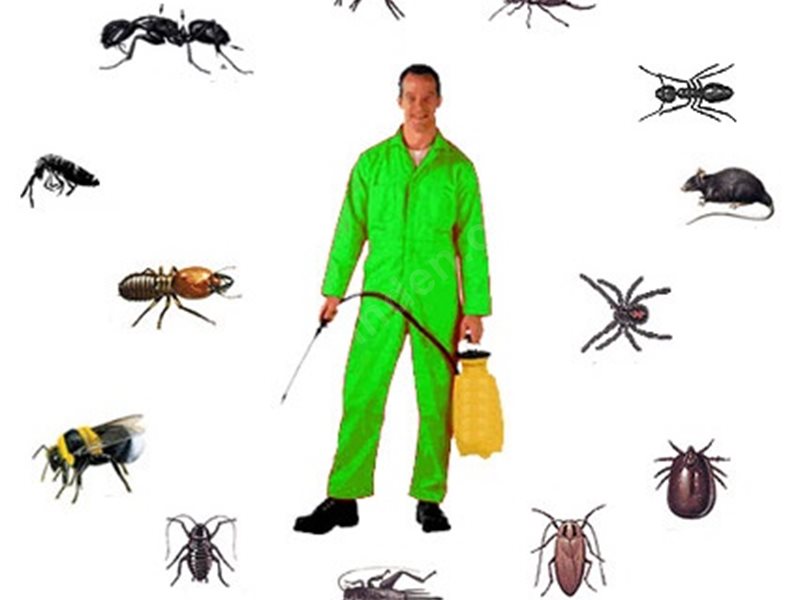 Pazaryeri Böcek İlaçlama